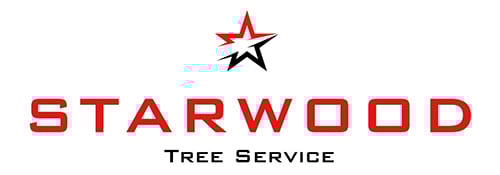 logo-1